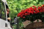 Cảm xúc những ngày cuối năm!